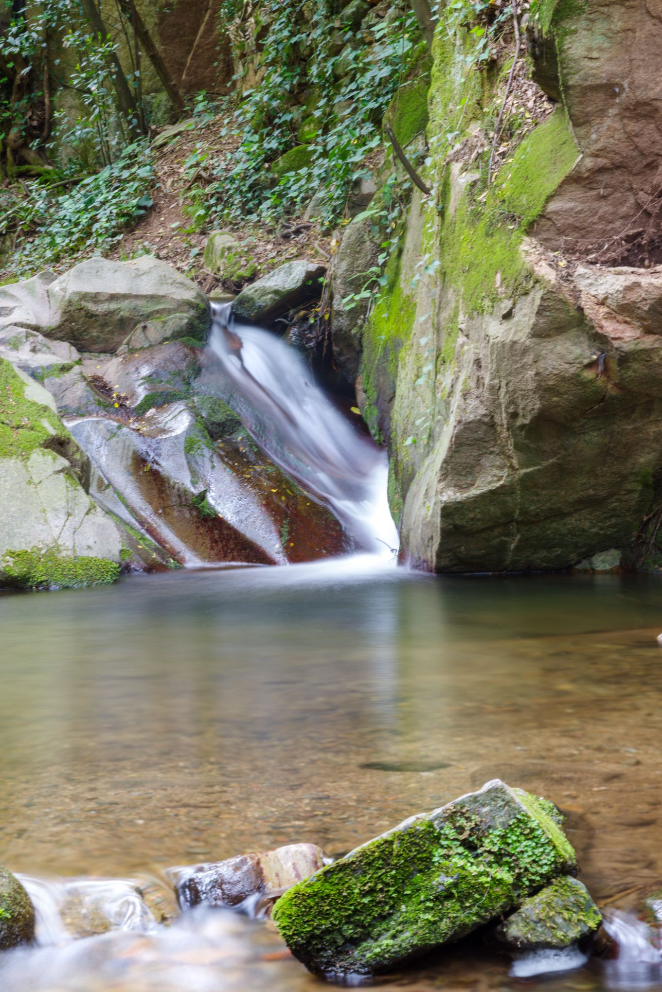 Copia de Agua sedosa 20260503 5810